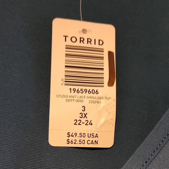 Torrid V-Neck Blouse - Picture 3 of 3